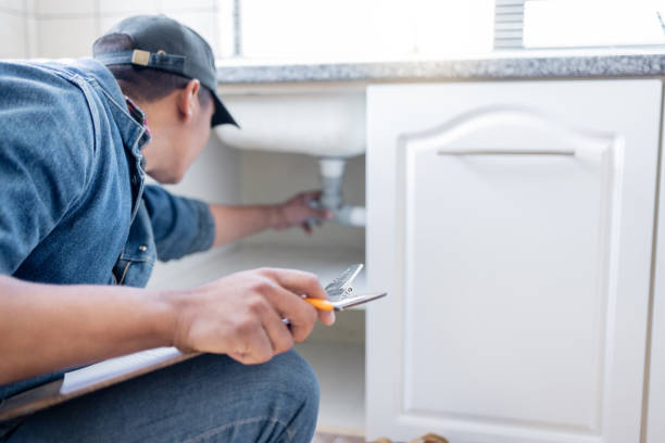 Best Plumbing Services Near Me  in Sandy Valley, NV